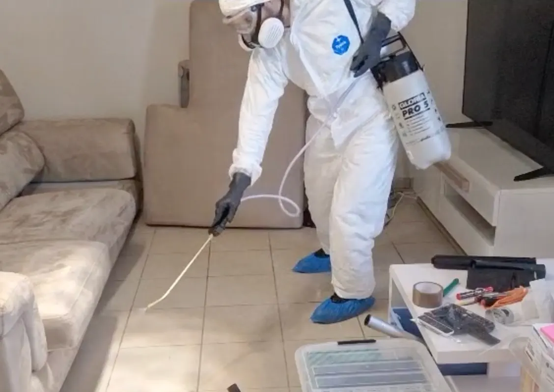 Intervention de traitement des punaises de lit à Lyon (pulvérisation)