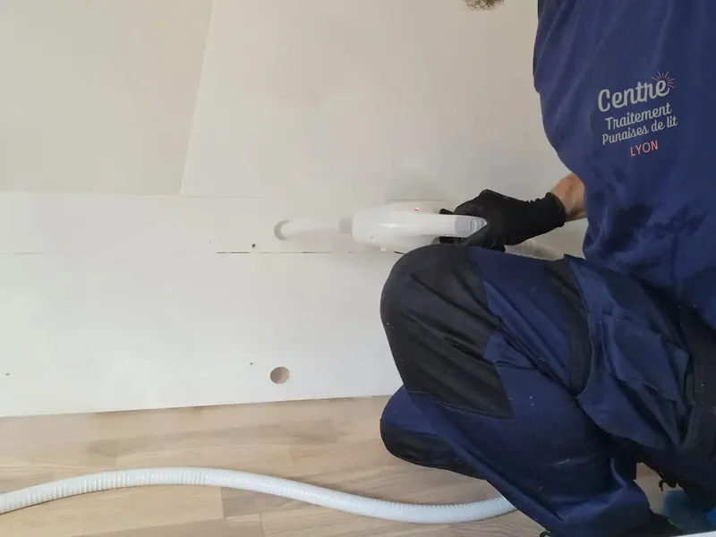 Intervention de traitement contre les punaises de lit à Villeurbanne