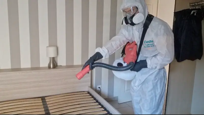 Traitement nébulisation des punaises de lit à Villeurbanne